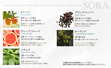 木々之重 アロマスプレー SORA 50ml アロマ アロマグッズ 香り 精油 オレンジ グレープフルーツ ホーウッド パチュリ ブラックペッパー スパイス 気分転換 スッキリ すっきり 癒し 贈答 プレゼント ご褒美