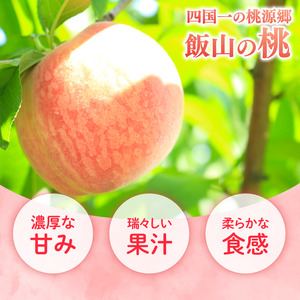 贈答用 飯山の桃 約2kg（5～7個） 香川県 丸亀市 三谷桃園