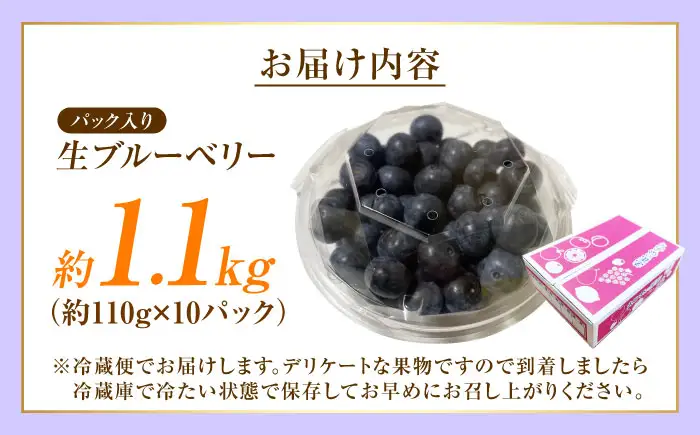 ブルーベリー 生ブルーベリー110g×10 フルーツ 果物 BJBG004