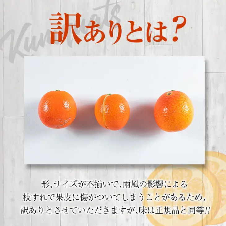 訳あり 先行予約 完熟 きんかん 紅央 計3kg以上 傷み補償分入り フルーツ 果物_BAV7-25