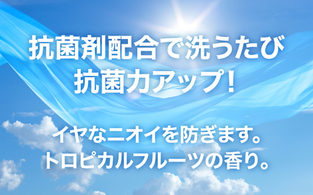 洗濯洗剤 液体洗剤セット 本体×12本 [FZ001]