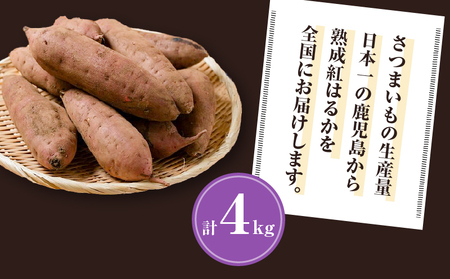 焼き芋 さつまいも 紅はるか 生芋 4kg 【畑の金貨】 K181-006