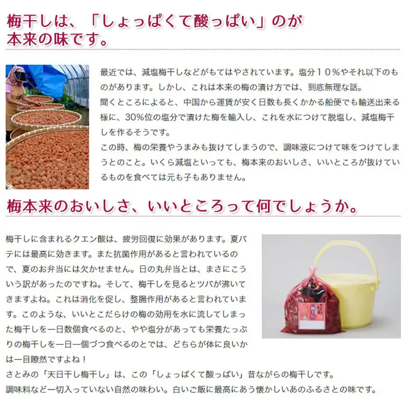 たっぷりと陽にあてた ふる里の懐かしい「天日干し梅ぼし」1.2kg FZ26-725