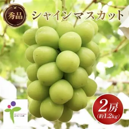 【発送月固定定期便】JAフルーツ山梨定期便 全3回【配送不可地域：離島・沖縄県】【4012439】