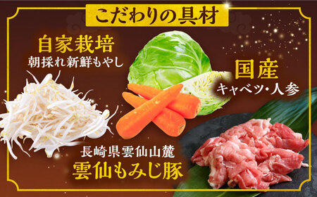 【3回定期便】冷凍 長崎皿うどん 4食 具入り / さらうどん 皿うどん 麺 / 南島原市 / 狩野食品 [SDE018]