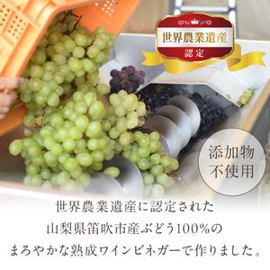 【満点☆青空レストランで紹介されました！】ピクルスワインビネガー10本セット 182-026