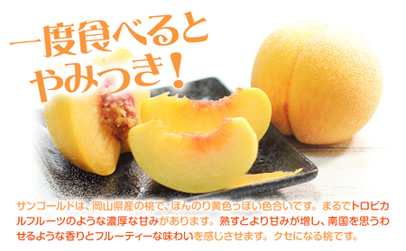桃 サンゴールド 2kg 黄桃