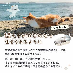 【返礼品なし】「むな猫（旧：てくてくさくらねこ）」　地域猫活動支援【むな猫】_HA1118