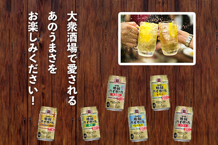 ＜TaKaRa焼酎ハイボール レモン・ドライ・グレープフルーツ・ラムネ割り・ゆず・うめ割り 350ml×各24本 計144本＞翌月末迄に順次出荷【c578_mm_x2】