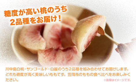 もも 桃2品種詰め合わせセット 2kg　桃