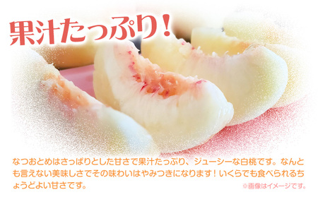 桃 なつおとめ 2kg　白桃