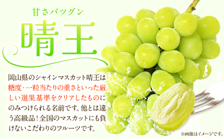 【先行予約】白桃&シャインマスカットセット 小【配送不可地域あり】