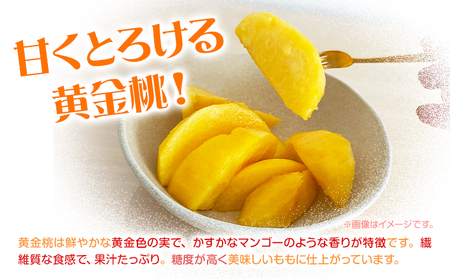 黄金桃 2kg　もも 黄桃
