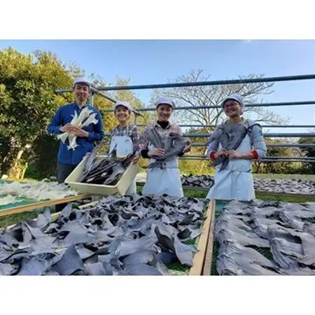 【エコ包装】本格派「フカヒレ姿煮」尾びれ2枚入(220g×2枚)　尾びれ11-12cm【配送不可地域：離島】【1493453】