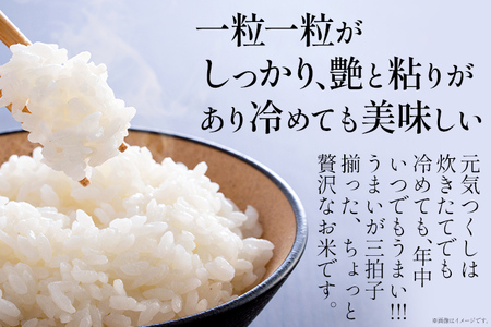 【無洗米】令和7年産 金のめし丸 元気つくし 精米 5kg 米 無洗米 元気つくし 森光商店 老舗 福岡 お米 ごはん ご飯 お弁当 おにぎり 金のめし丸県産米 福岡ブランド米 めし丸 志免 志免町 福岡県