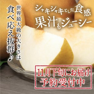 DS-10　あたご梨 5kg