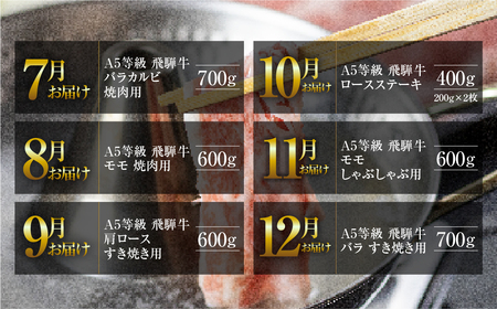 【定期便】A5 飛騨牛 12回 定期便 飛騨牛 トキノ屋食品
