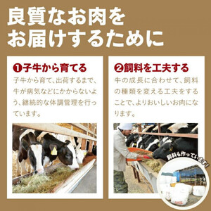 鳥取牛サンカクバラ焼肉用 600g（冷凍）