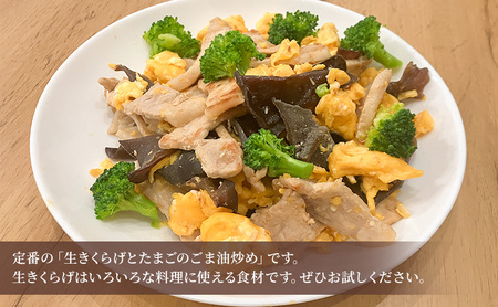高滝湖どうしたきくらげ 乾燥10パック 防空壕きくらげシステム導入 野菜 きのこ 乾燥キクラゲ 中華料理 肉厚 食材 料理 調理 国産 国産野菜 国産きくらげ 