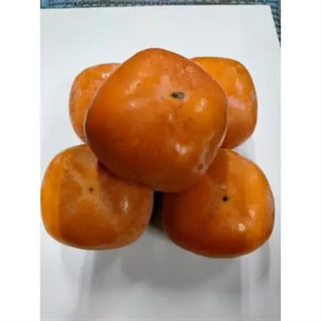 紀の川柿(訳あり品)12～15個入り_果物・フルーツ 柿（カキ）  かき_【1393921】
