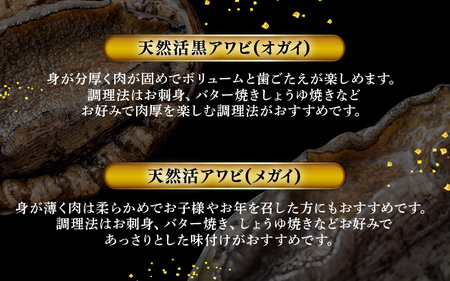 【期間限定】天然！活アワビ 特大 オガイ・メガイ 各2個 計4個 セット鮮度抜群 刺身 お造り バター焼き あわび 鮑 [m21-o002]