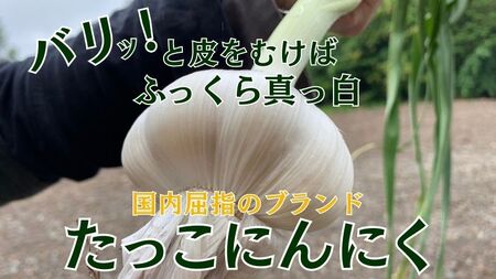令和8年産朝採り直送！田子（たっこ）生にんにく約5kg（青森県田子町産にんにくM～Lサイズ混合）