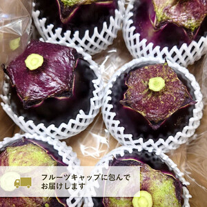 【2026年6月発送】賀茂茄子 6個 1.5kg 【 国産 京野菜 旬 季節の野菜 季節限定 野菜 茄子 なす ナス かもなす 賀茂なす 丹州 農家直送 産地直送 京ブランド野菜 綾部 京都 】 