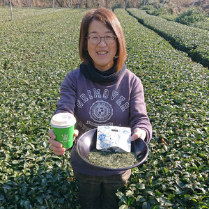 【2026年7月発送】 お茶 煎茶 リーフティーカップ 25個入り