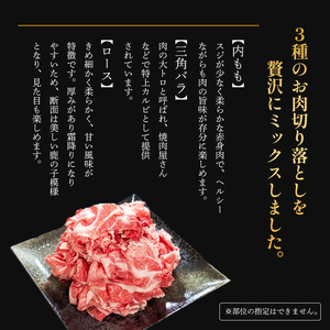 牛肉切り落とし 600g ミックス切り落とし 京都姫牛
