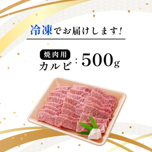 焼肉 カルビ 500g 京都姫牛 和牛