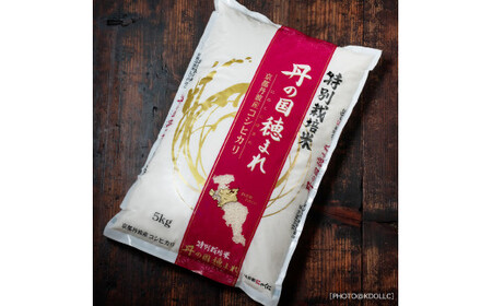 特別栽培米 5kg 白米 丹の国穂まれ 特別栽培米 精米