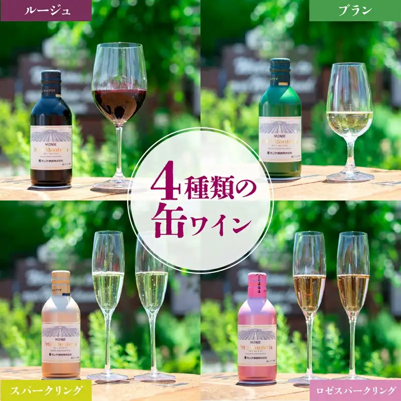 【モンデ酒造ふるさと納税】プティモンテリアシリーズ各種3本セット（やや辛口/白・やや重口/赤・やや辛口/白スパークリングワイン・やや辛口/ロゼスパークリングワイン 全12本）018-041