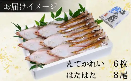 干物 えてかれい、はたはたセット エテカレイ6枚 ハタハタ8尾 08-01