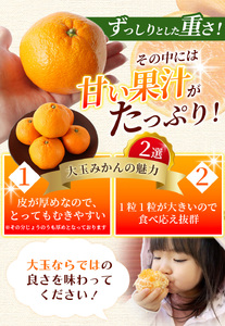 ボリューム満点！ 秀優品 大玉 温州みかん 4kg【2L～3Lサイズ】【2026