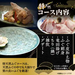 豊後水道 【特天然】とらふぐコース ペアお食事券 P01057