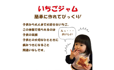 いちご いちごジャム作り 体験キット イチゴ イチゴジャム