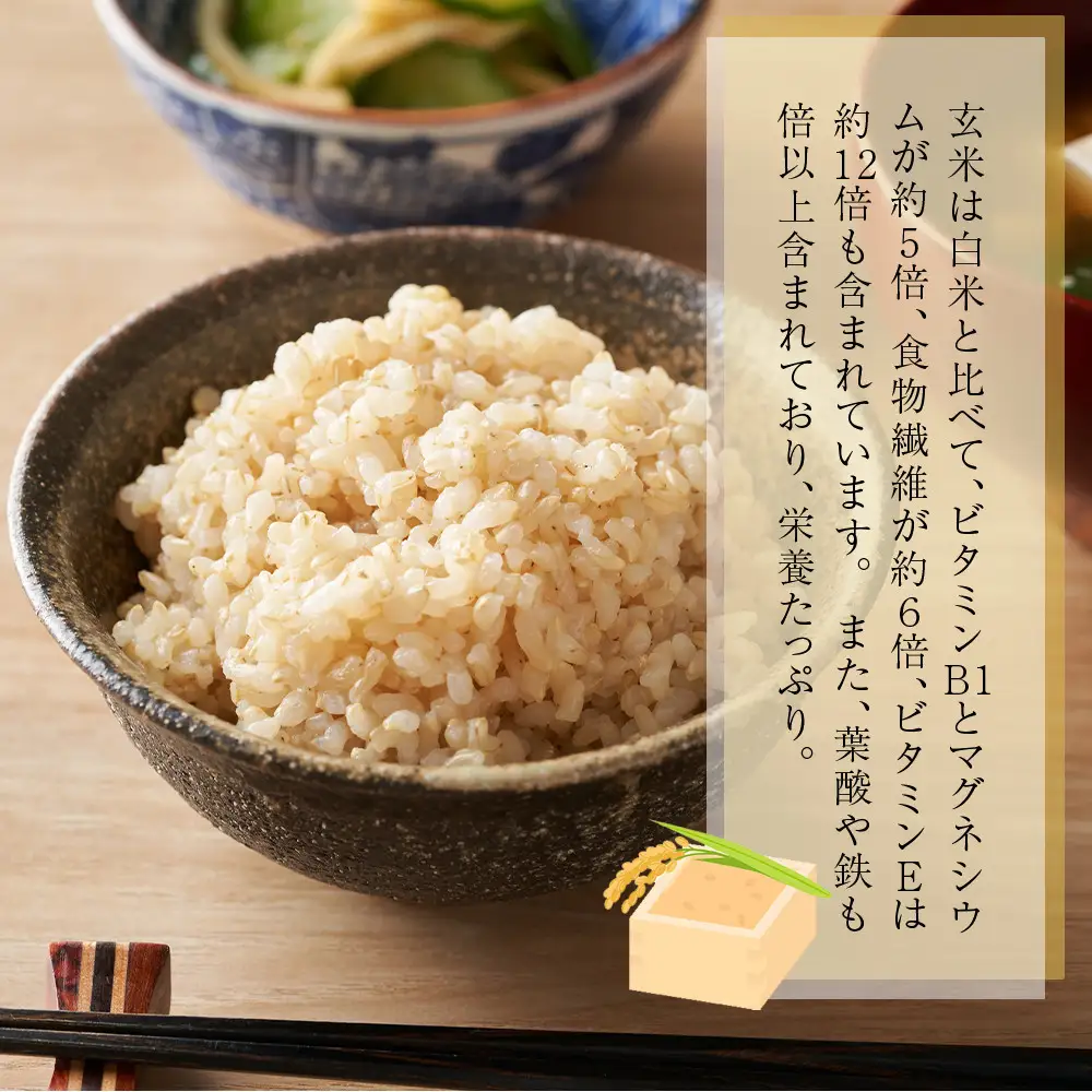 【令和7年産】富山県産こしひかり　育（はぐくみ）玄米３０kg《南砺の逸品》
