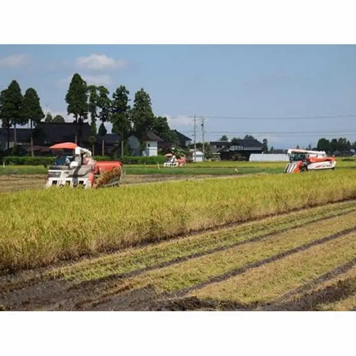 【令和7年産】富山県産こしひかり　育（はぐくみ）白米　5キロ×２個セット《南砺の逸品》