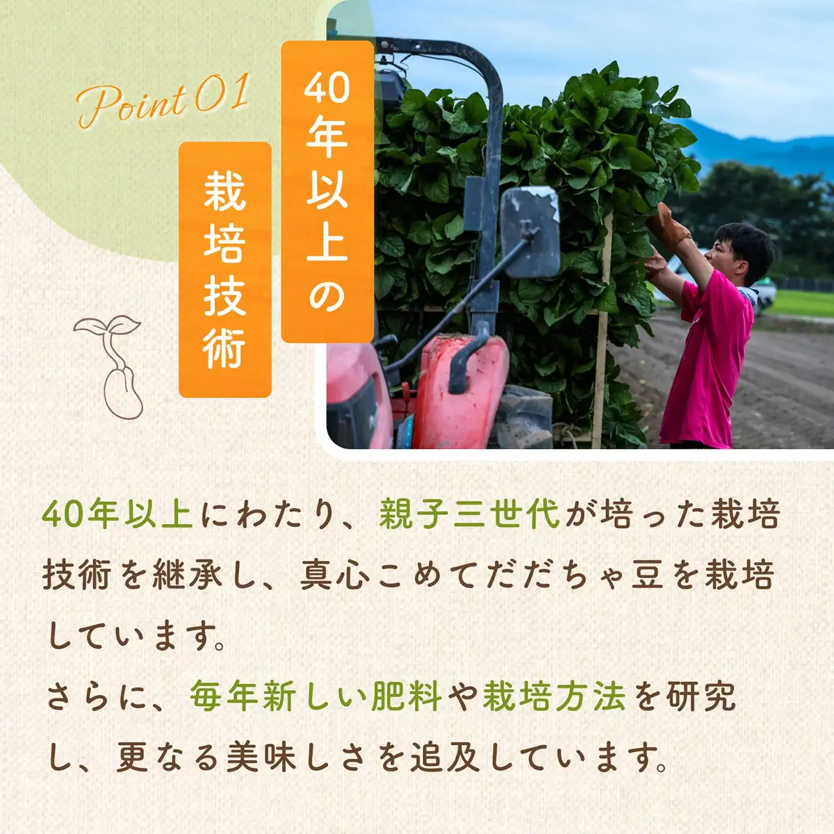 【令和8年産先行予約】だだちゃ豆(早生)　1000g（500g×2袋）　だだちゃ喜左衛門株式会社　枝豆 1kg