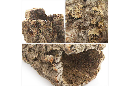 形状お任せ 筒型コルク Mサイズ 長さ30cm エアプランツ 着生植物 [株式会社チャーム charm コルク樹皮 バックパネル ビバリウム 養生植物]