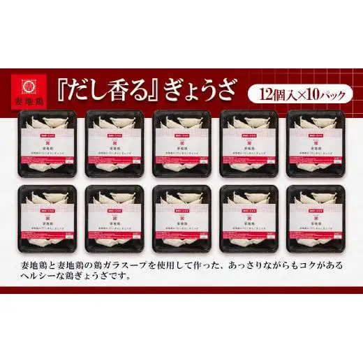 ブランド地鶏「妻地鶏」ぎょうざ詰合せ45　120個（12個×10パック） 小分け＜8-23a＞