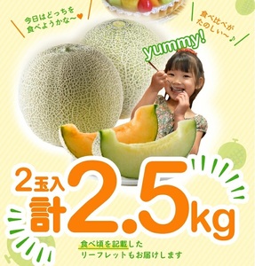 SA2933　庄内砂丘 『青肉・赤肉メロン』セット　約2.5kg 計2玉(各1玉入) 品種おまかせ
