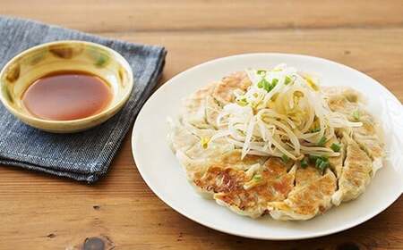 ES-502 【隔月6回定期便】かごしま黒豚餃子 合計240個