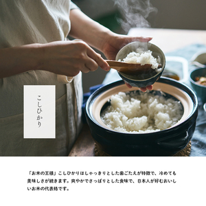 無洗米 コシヒカリ 10kg ( 5kg ×2袋) 小分け 米 お米 精米 白米 銘柄米 ブランド米 10キロ 産地直送 兵庫県産 兵庫 兵庫県 小野市
