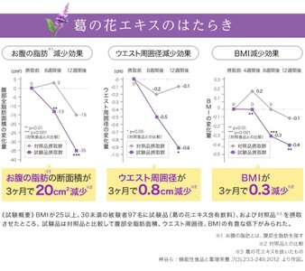 DHC お腹の脂肪が気になる方の葛花茶 特定保健用食品 30日分 