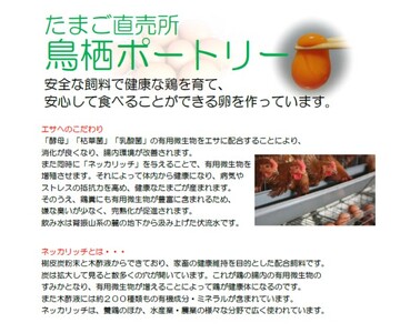 たまご 50個入り Ｍサイズ ※破損保証5個含む 卵 鶏卵 タマゴ ※配送不可:離島 