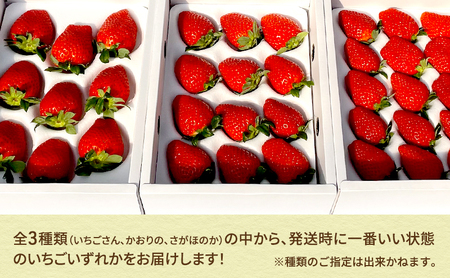 先行予約 いちご 1箱 （約300g～350g） 佐賀県産 イチゴ 苺 果物 フルーツ デザート ※配送不可:北海道 