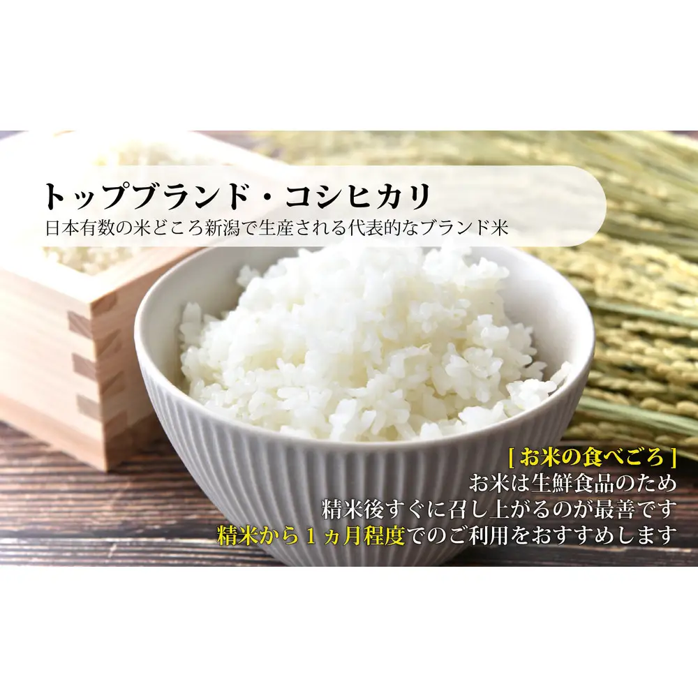 佐渡産コシヒカリ 10kg (5kg x 2) 令和7年産