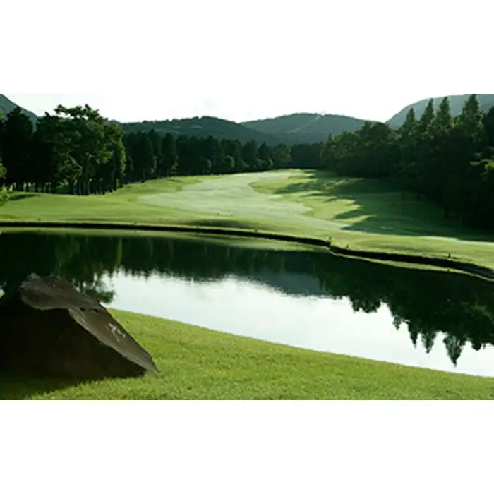 箱根湖畔ゴルフコース　平日1ラウンドセルフプレー券(4枚)［ゴルフ］