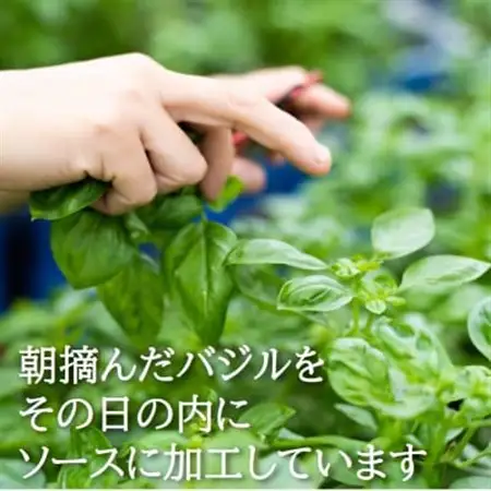 濃厚・無添加　バジルソース(ジェノベーゼソース)　瓶　100g×7本【配送不可地域：離島】【1493641】